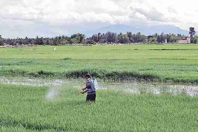Mncs syngenta，拜耳，孟山蒙山为农民死亡伊马拉德拉