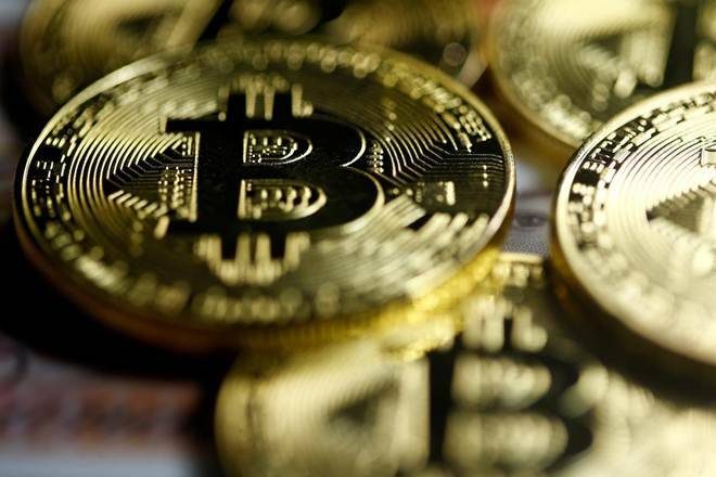 比特币以16,000美元：6关于世界克雷斯康多鹦鹉的6个知名事物
