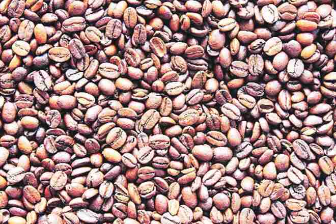 “实现在本地划分：为什么咖啡出口来自印度的咖啡出口逐渐下降2018