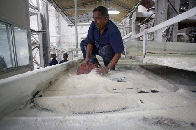 “政府宣布糖厂的债务限制限制，以防止价格