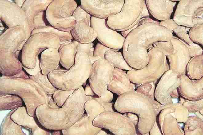 喀拉拉邦计划租赁Andhra Pradesh Land for CashewFail