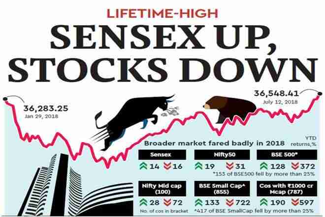 寿命高！SenseX Up，Stockdown