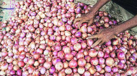 洋葱价格下跌至Lasalgaon每公斤5卢比，对印度铁路Wagonssoars的需求