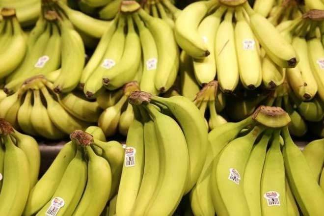 泰米尔纳德邦开始出口长架，高品质的香蕉小孔
