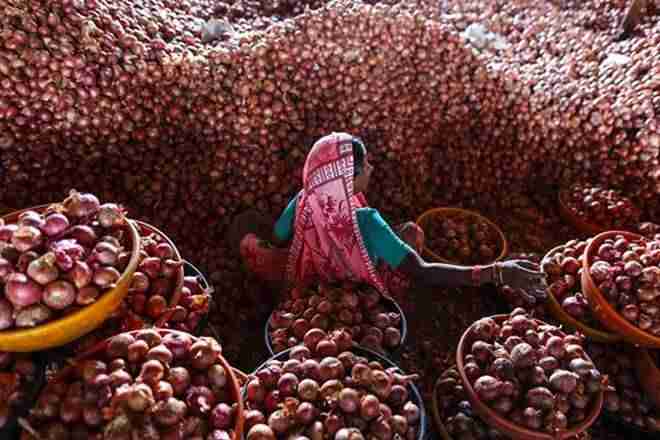 Maharashtra的洋葱价格崩溃至170卢比
