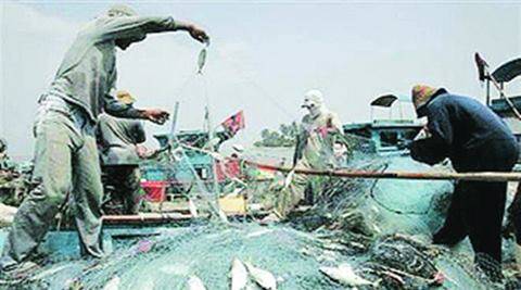 印度设为失去世界第二大鱼生产商的现场？捕获dwindles，出口面部凝固