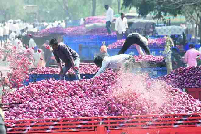 好消息！Maharashtra将延长onionfarmers的补贴计划