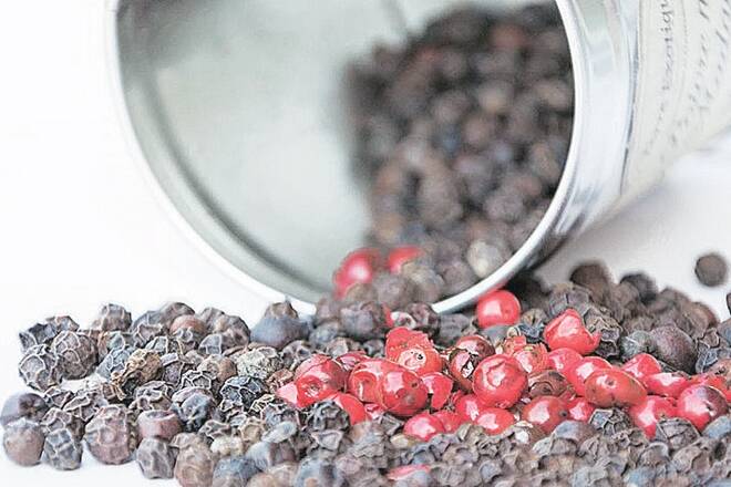 辣椒价格可能会在Newcrop上掉落