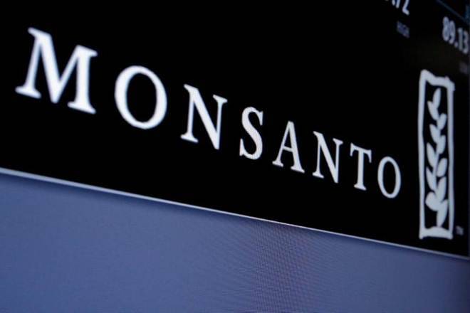 Monsanto股票价格超过13％以后允许父母索赔棉花间