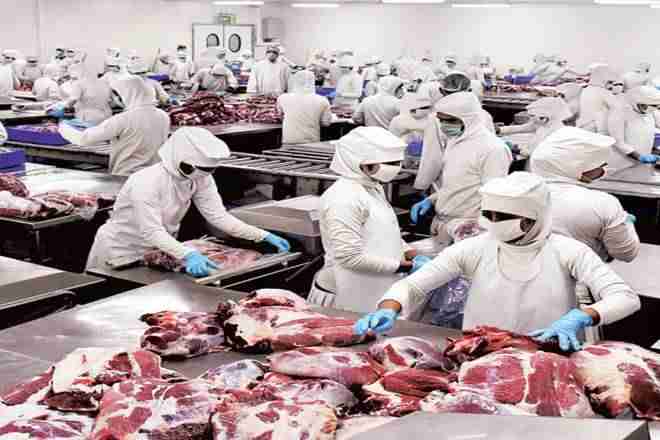 猪血管损坏了20亿美元的非法肉类市场