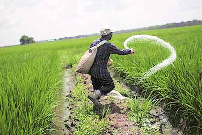 PM Modi呼吁农民切割化学肥料的使用，杀虫剂
