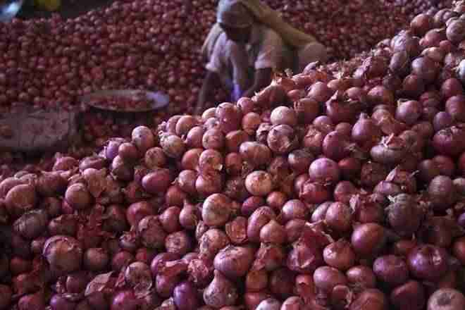洋葱价格上涨：西孟加拉邦订单800吨进口洋葱随着价格的近距离靠近卢比150 Perkg