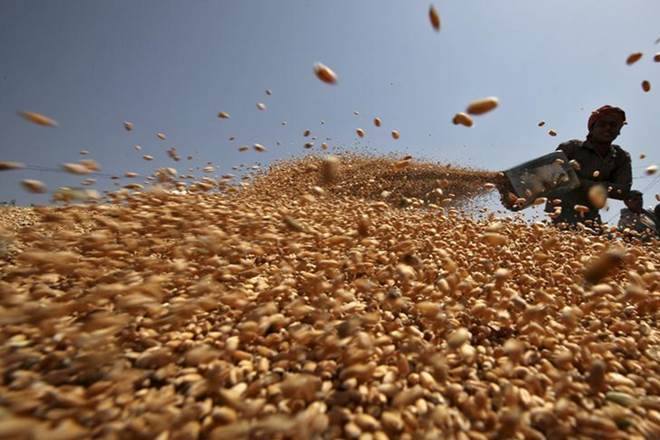 小麦播种到目前为止播下37％;油籽