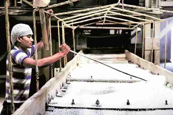 Maharashtra低甘蔗：一个月只有一个月的赛季，糖厂停止了