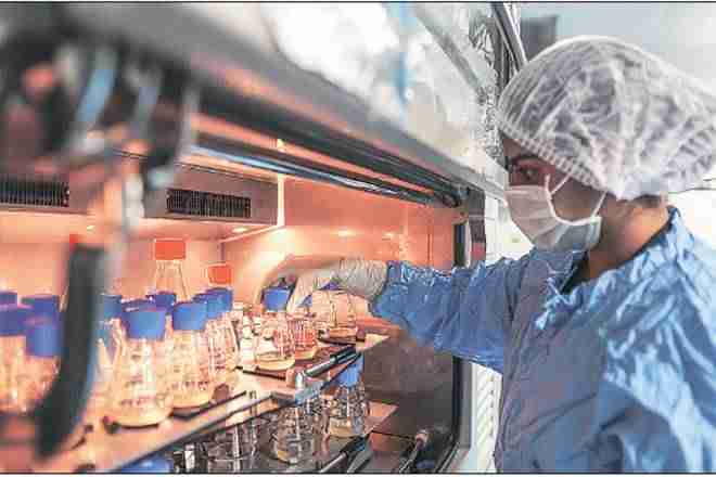 Biocon评为'买';城市表示生物素质交易跨越式