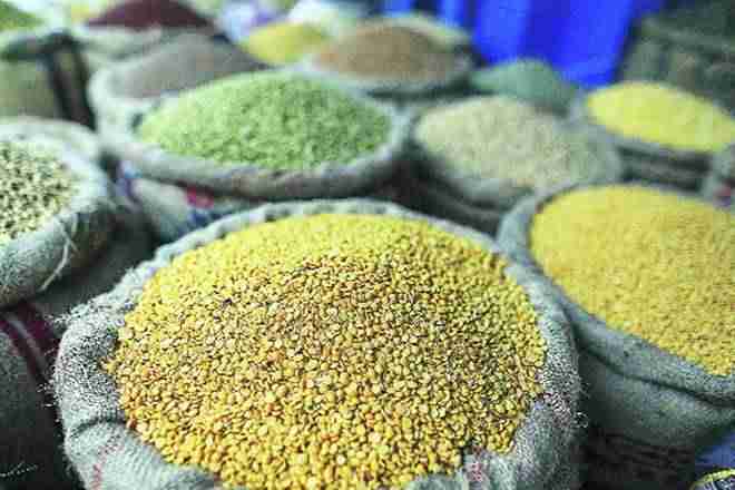 小麦，米饭，政府的目标使印度剩余脉冲