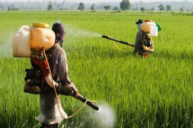 杀虫剂印度净利润下降49％至卢比8.6crore