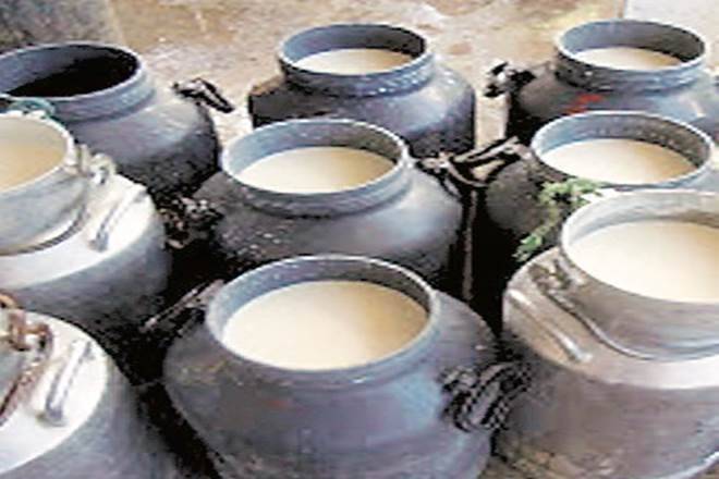多余的牛奶：马哈拉施特拉的私人奶粉可能会支付农民减少的采购分子