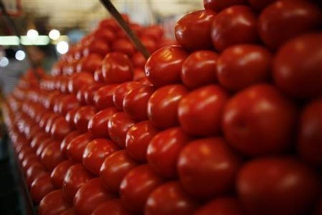 零售番茄价格飙升至80-85 / kg Indelhi
