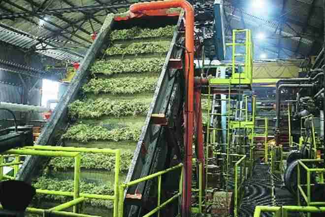 糖库存随着GOVT徒步旅行FRP达到15％; renuka糖，达尔米亚Bharat Sugar和Industriesgain