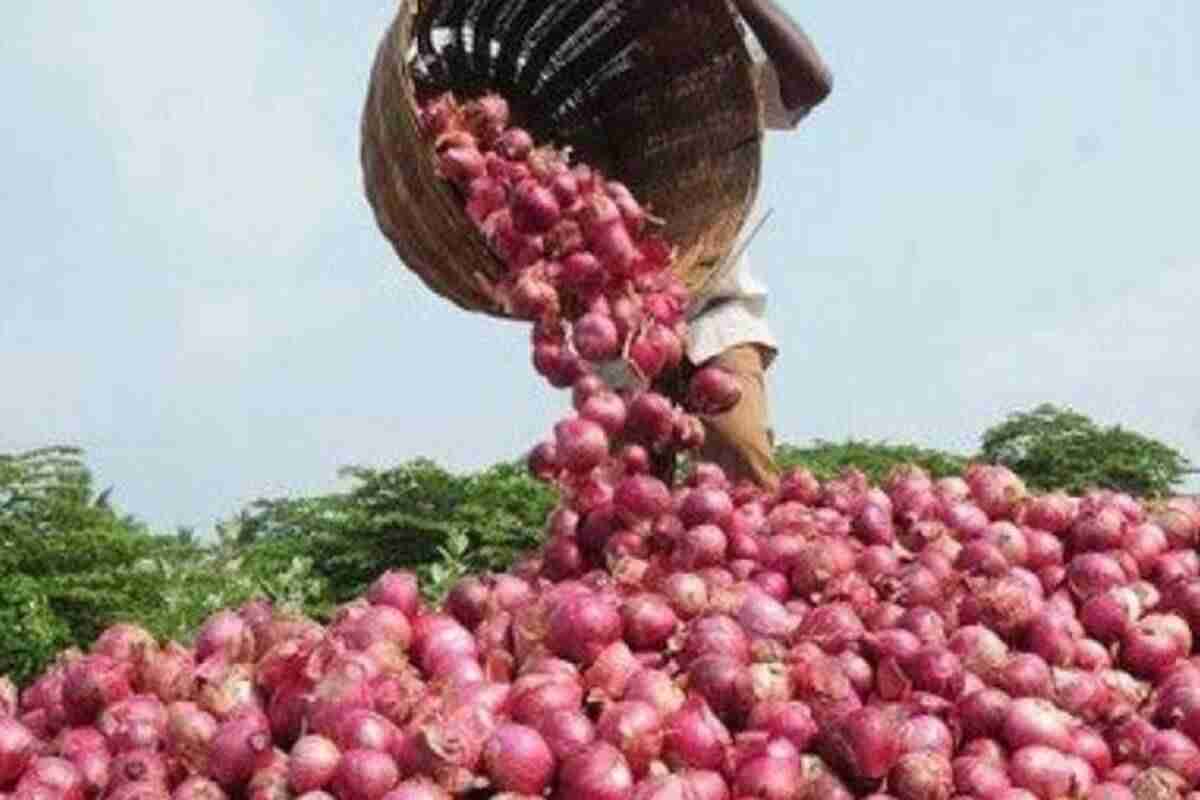 马哈拉施特拉农民寻求拆除onionexport的禁令