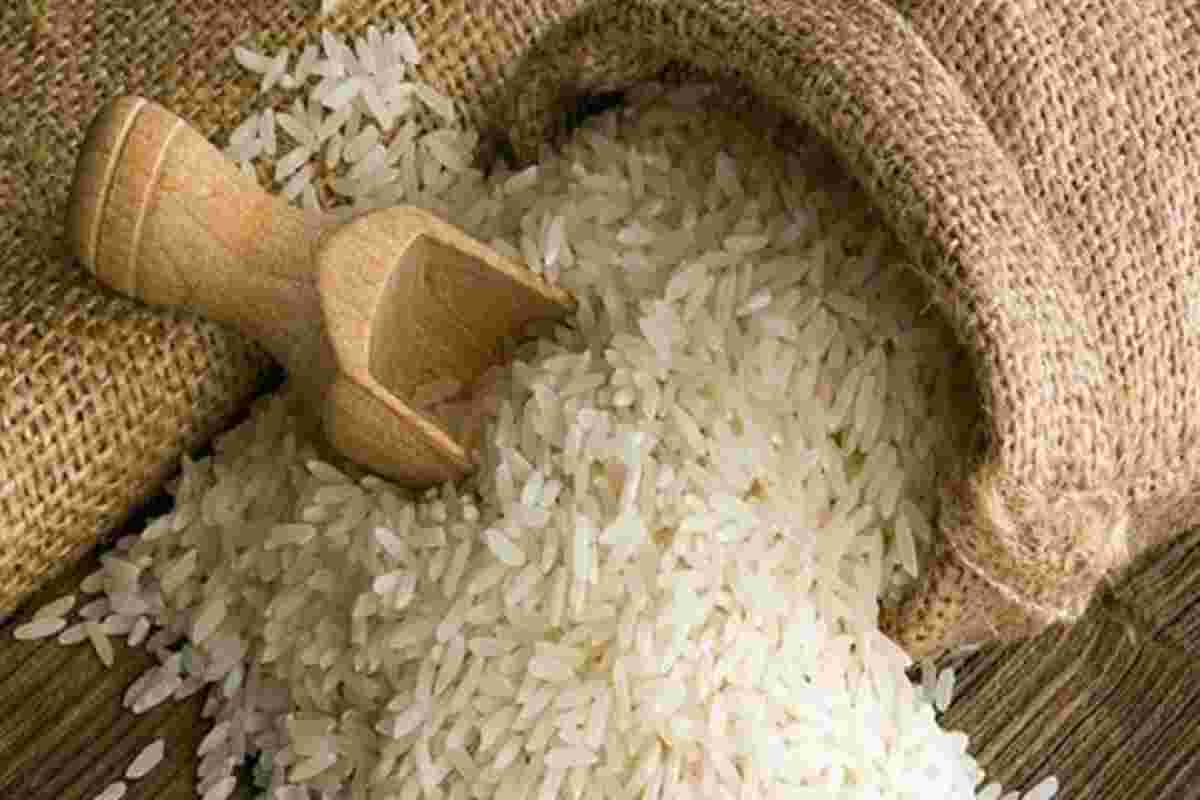 非Basmati大米出口到孟加拉国可能导致较高的稻谷