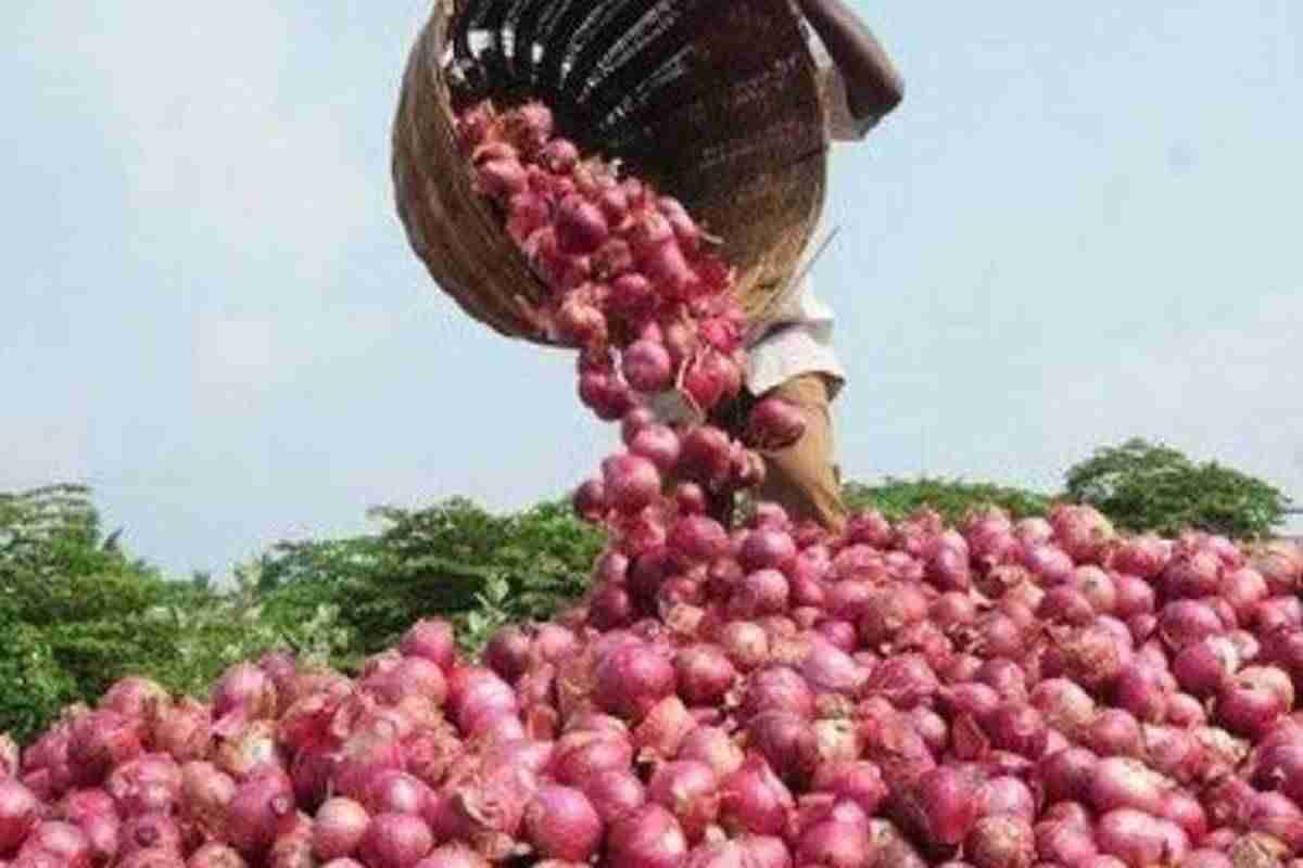 从Nafedarrives喀拉拉邦政府采购的第一次负荷为27吨洋葱