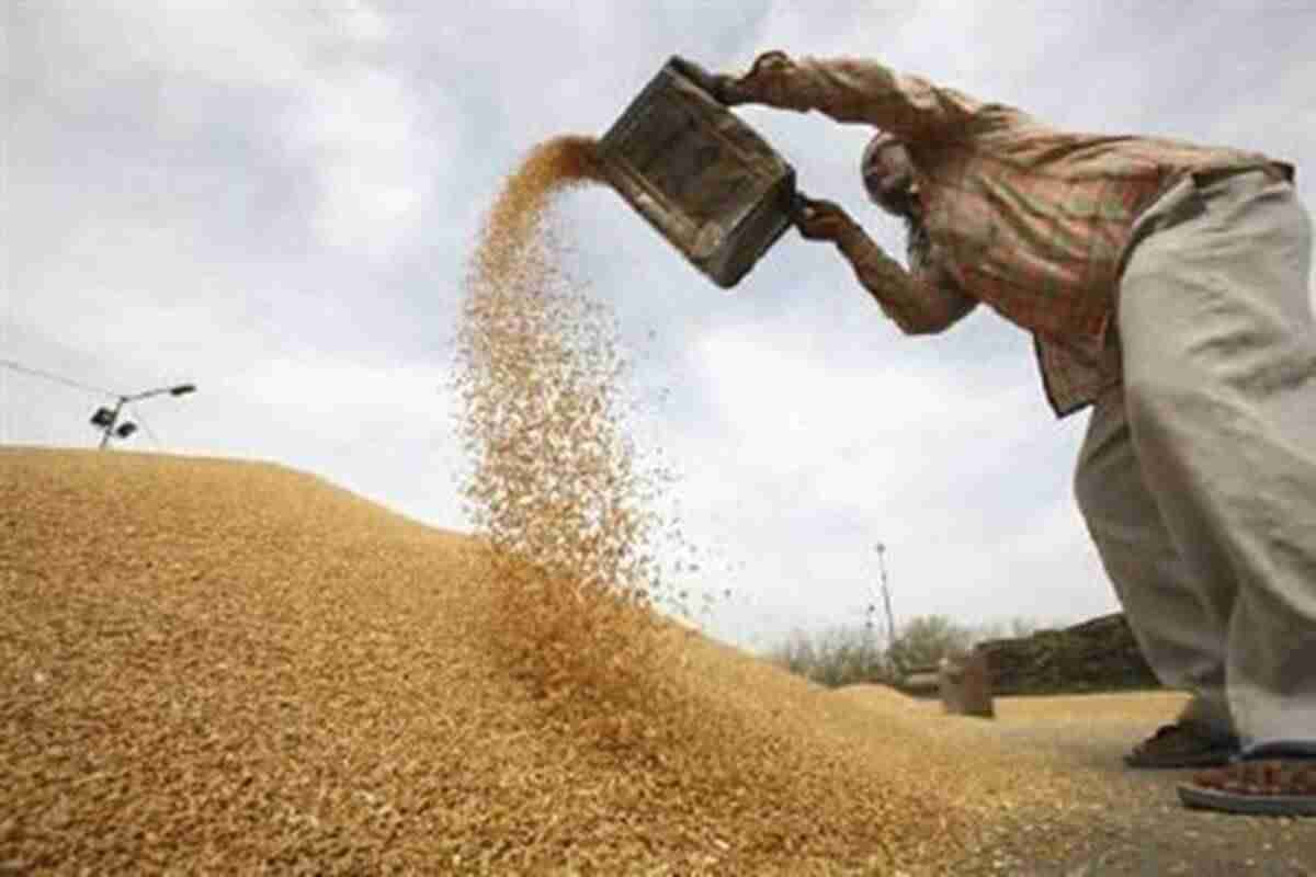 Uttar Pradesh在MSP之前购买小麦，直到农民的Stockslast