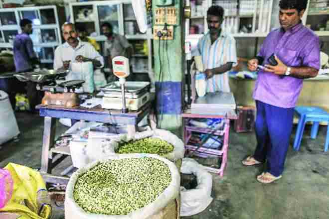 Cardamom价格从每公斤1,400卢比下降到GST卷展栏过渡额超过每公斤1,000卢比
