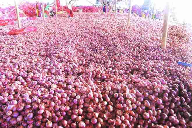 由于普尔农民欢欣，马哈拉施特拉洋葱农民尚未获得去年的人