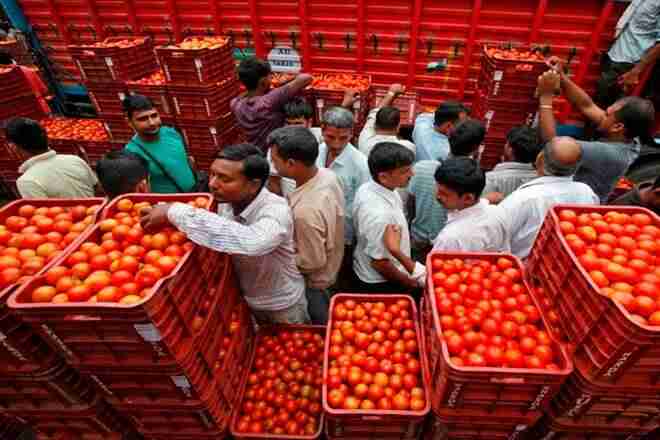番茄价格在Lowsupply上的Delhi-Ncr每公斤飙升至100卢比