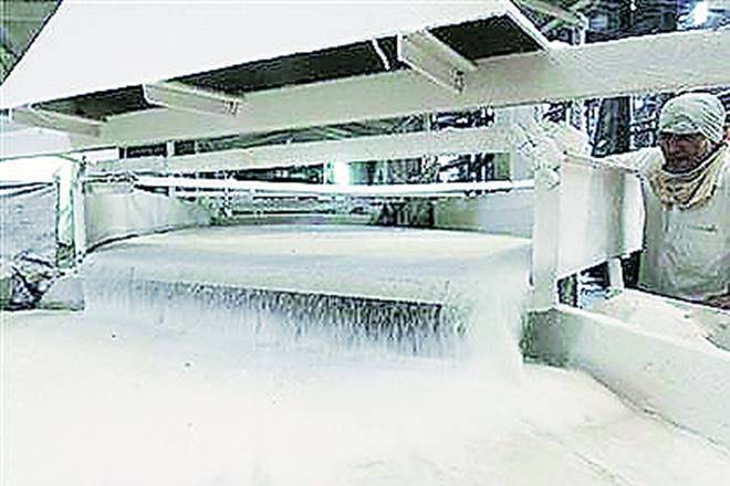 Maharashtra Sugar Mills因早期灌木而造成损失的损失