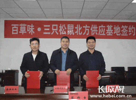 长城网特别报道｜荣盛产业新城与百草味、三只松鼠共创食品产业发展新时代