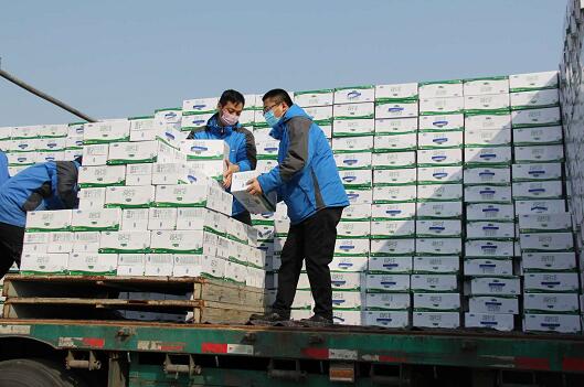 25000箱完达山高钙牛奶发往湖北孝感 供抗疫前线工作指挥部分配使用
