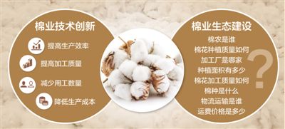 目标价格改革试点3年后：棉花市场变好了吗？