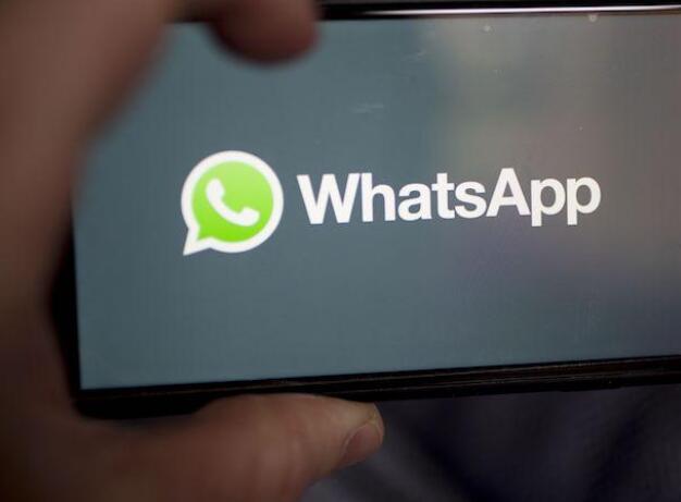 WhatsApp首次启动应用内商业目录功能测试