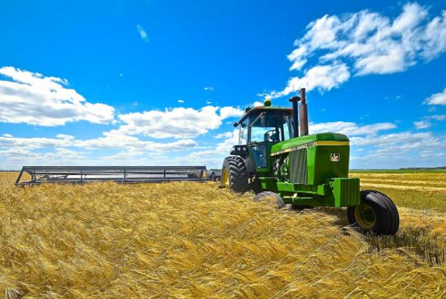澳大利亚和阿根廷加强小麦行业