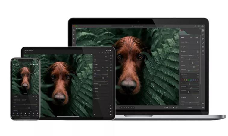 “Adobe发布适用于Windows和macOS的Lightroom Arm版本