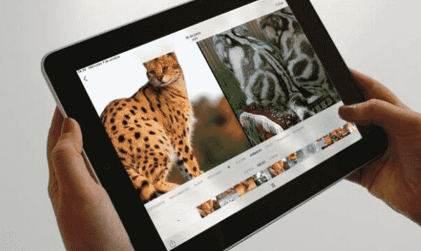 “互联网资讯：如何使用iPhone和iPad上的照片制作视频