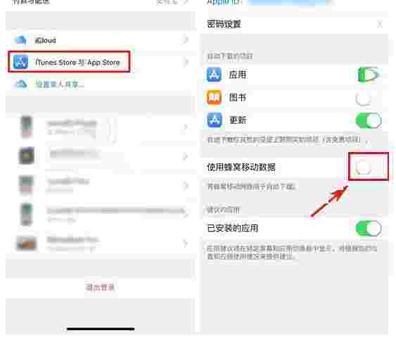 “iPhone X怎么禁止流量更新应用