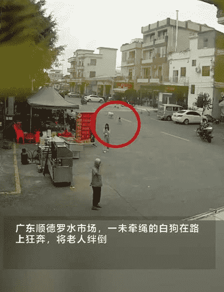 “警方介入广东老人被狗绳绊倒身亡事件 后续进展如何