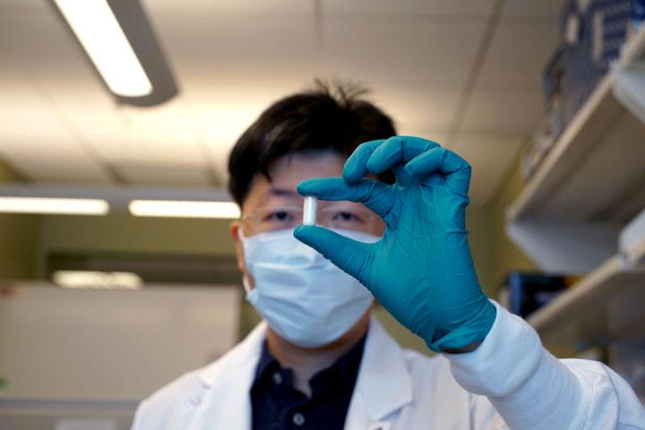 胃肠道的合成涂层可以输送药物或帮助消化