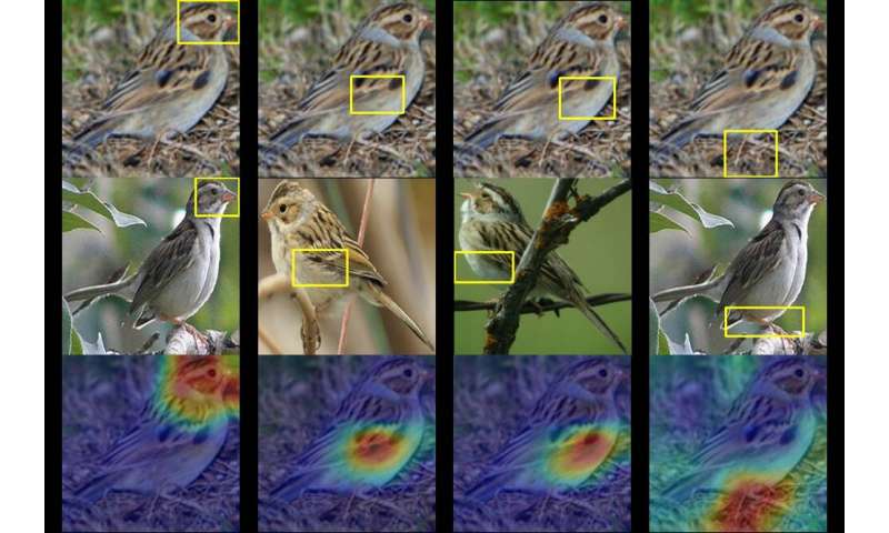 This AI birdwatcher lets you