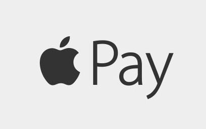 “iOS指南如何使用Apple Pay现金
