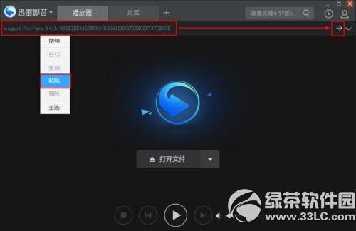 教大家迅雷影音如何看片?迅雷看看播放器看片教程