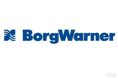 “BorgWarner认为第一季度销售将受到打击全年业绩预期